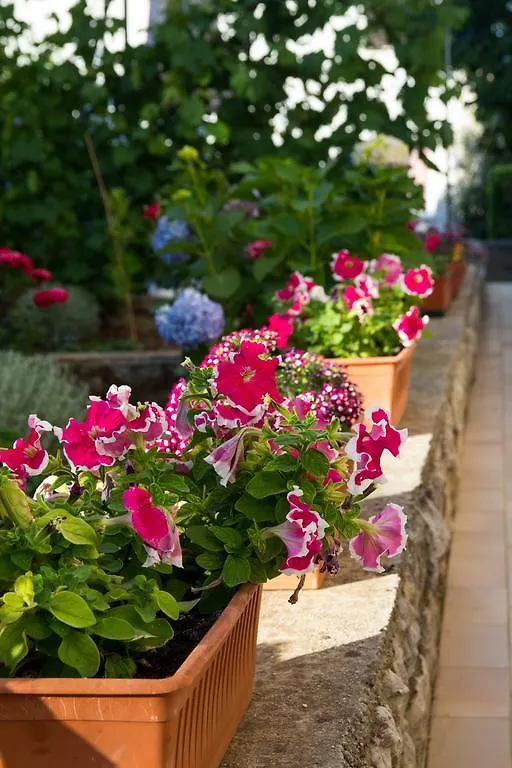 Apartment Nikolina Mali Losinj Croatia